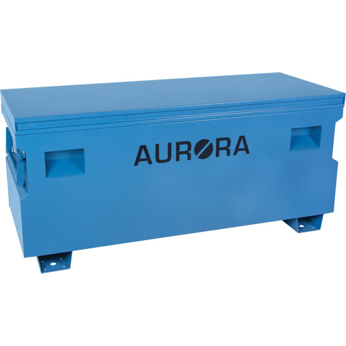 Coffre &agrave; outils de chantier, 60" x 24" x 27-1/2", Acier, Bleu Distribution Élite MP
