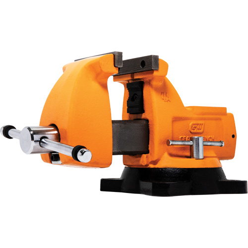 Mechanic's Bench Vise with Anvil, 4" Jaw Width Distribution Élite MP