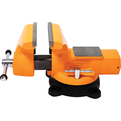 Mechanic's Bench Vise with Anvil, 8" Jaw Width Distribution Élite MP