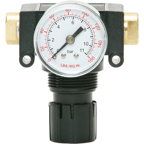MODULAIR 200 Acetal Piston Regulator, 1/4" NPT, 150 PSI Max. PSI, In Line/Modular Distribution Élite MP