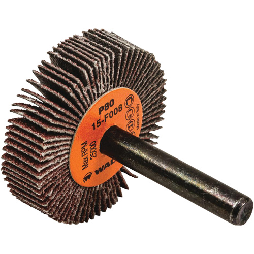 Disques &agrave; lamelles - Meules &agrave; lamelles Coolcut, Oxyde d'aluminium, Grain 80, 1-1/2" x 3/8" x 1/4" Distribution Élite MP