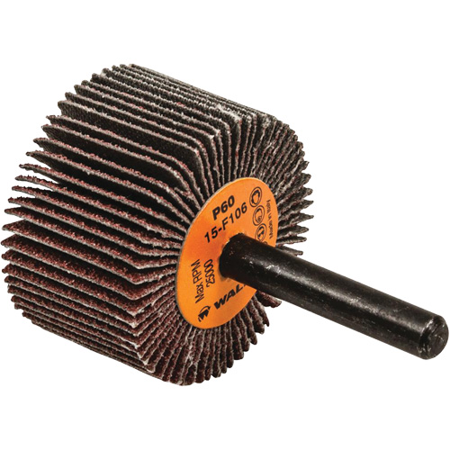 Disques &agrave; lamelles - Meules &agrave; lamelles Coolcut, Oxyde d'aluminium, Grain 60, 1-1/2" x 1" x 1/4" Distribution Élite MP