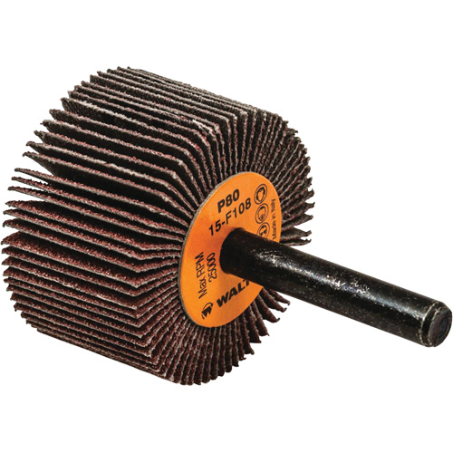 Disques &agrave; lamelles - Meules &agrave; lamelles Coolcut, Oxyde d'aluminium, Grain 80, 1-1/2" x 1" x 1/4" Distribution Élite MP