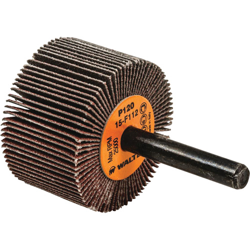 Disques &agrave; lamelles - Meules &agrave; lamelles Coolcut, Oxyde d'aluminium, Grain 120, 1-1/2" x 1" x 1/4" Distribution Élite MP