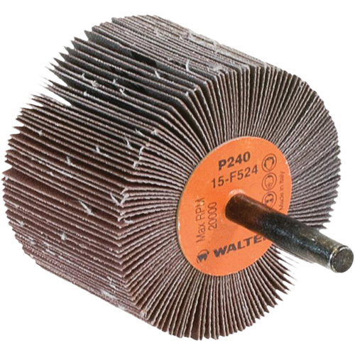 Disques &agrave; lamelles - Meules &agrave; lamelles Coolcut, Oxyde d'aluminium, Grain 240, 2-1/2" x 1-1/2" x 1/4" Distribution Élite MP