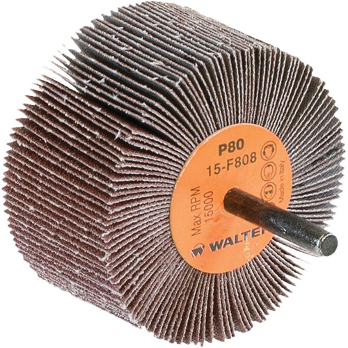 Disques &agrave; lamelles - Meules &agrave; lamelles Coolcut, Oxyde d'aluminium, Grain 80, 3" x 1-1/2" x 1/4" Distribution Élite MP