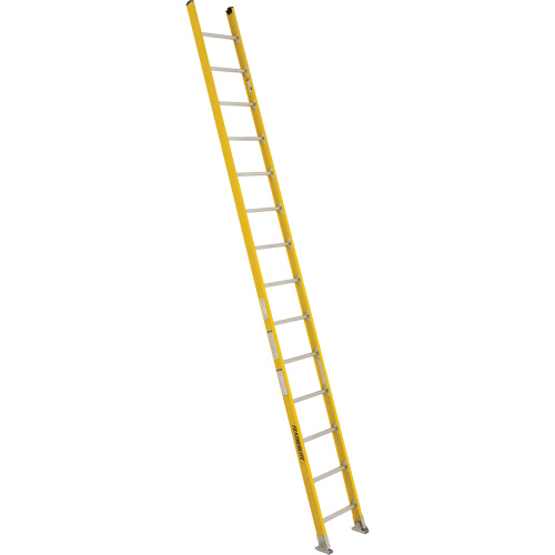 &eacute;chelles droites industrielles extra robustes (s&eacute;rie 5600), 14', Fibre de verre, 375 lb, CSA calibre 1AA Distribution Élite MP