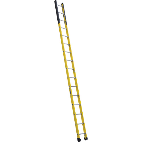 &eacute;chelle &eacute;troite pour trou d'homme, 16', Fibre de verre, 375 lb, CSA calibre 1AA Distribution Élite MP