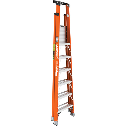 Escabeau avec plateforme Safespace, 6', Cap. De 300 lb Distribution Élite MP