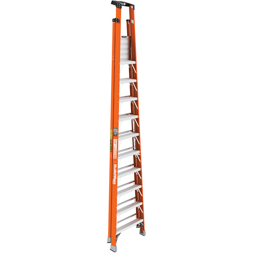 Escabeau avec plateforme Safespace, 10', Cap. De 300 lb Distribution Élite MP