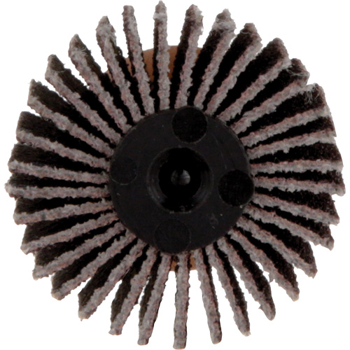 Meule &agrave; lamelles Standard Abrasives, Oxyde d'aluminium, Grain 80, 1" x 1" x 1/4" Distribution Élite MP