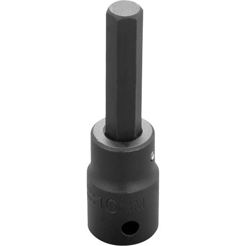 Socket Bit, Hex, 10 mm x 3-1/4" L, 1/2" Drive Distribution Élite MP
