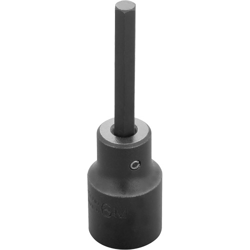 Socket Bit, Hex, 6 mm x 3-1/4" L, 1/2" Drive Distribution Élite MP