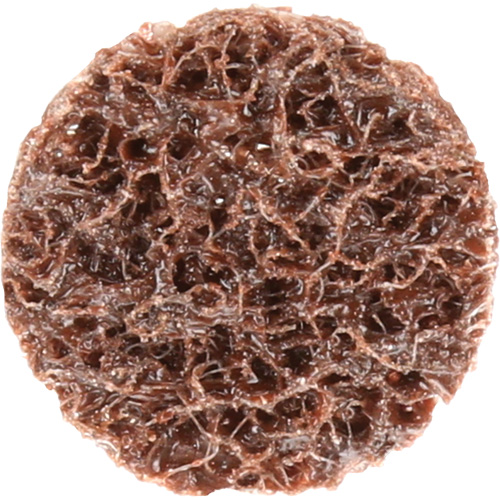 Standard Abrasives Quick-Change Surface Conditioning Disc, 3/4" Dia., Coarse Grit, Aluminum Oxide Distribution Élite MP