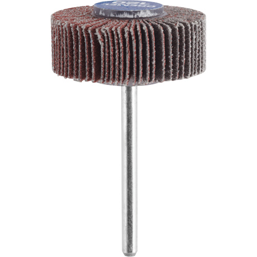 3/8" Flapwheel Sanding Bit - 120 Grit Distribution Élite MP