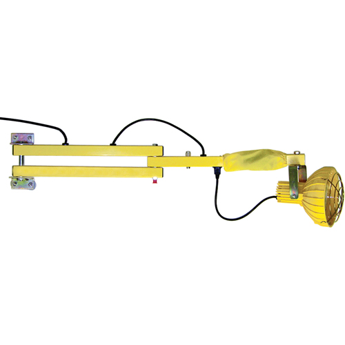 Lampes avec bras flexible pour quais, Ampoule Incandescente, Bras 40" Distribution Élite MP