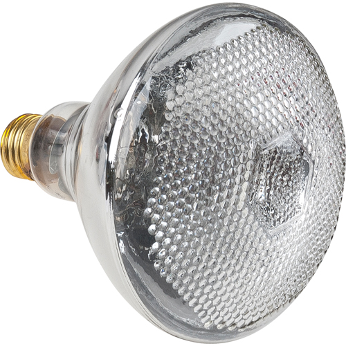 Economy Line Incandescent Lamps Distribution Élite MP