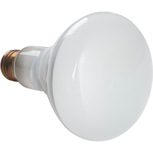 Economy Line Incandescent Lamps Distribution Élite MP