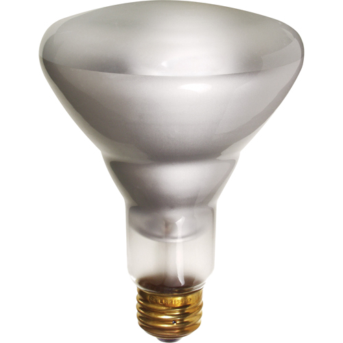 Economy Line Incandescent Lamps Distribution Élite MP