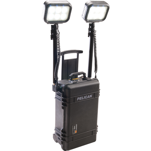 9460 Remote Area Lighting Systems, LED, 12,000 Lumens, Plastic Housing Distribution Élite MP