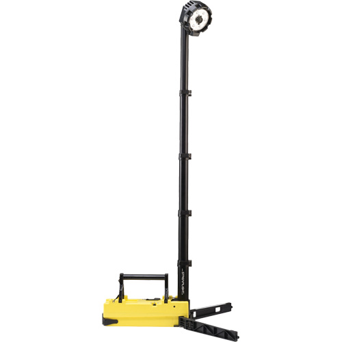 Lampes de sc&egrave;ne portables et rechargeables, DEL, 36 W, 5300 lumens, Boîtier en Plastique Distribution Élite MP