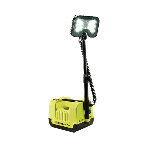 Syst&egrave;mes d'&eacute;clairage pour zone recul&eacute;e 9455, DEL, 21 W, 1600 lumens, Boîtier en Plastique Distribution Élite MP