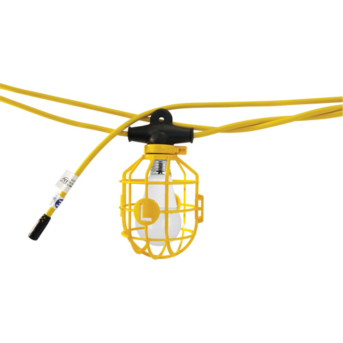 Guirlande &eacute;lectrique &agrave; DEL avec connecteur, 10 Lumi&egrave;res, 100' lo, Boîtier en Plastique Distribution Élite MP