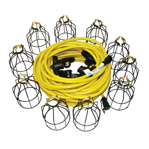LED Stringlights, 10 Lights, 100' L, Metal Housing Distribution Élite MP
