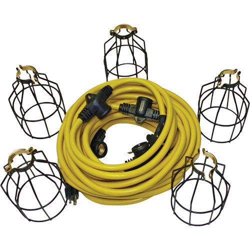 LED String Lights with Connector, 5 Lights, 50' L, Metal Housing Distribution Élite MP