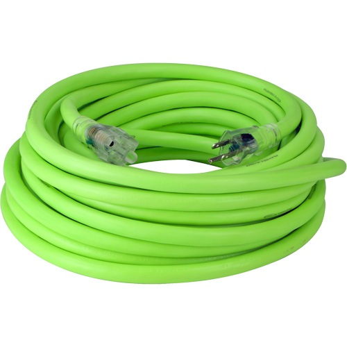 Cordon rallonge industriel Flexzilla Pro, Toutes saisons, SJTW, AWG 10/3, 15 A, 50' Distribution Élite MP