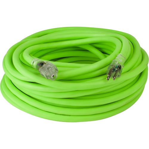 Cordon rallonge industriel Flexzilla Pro, Toutes saisons, SJTW, AWG 10/3, 15 A, 100' Distribution Élite MP