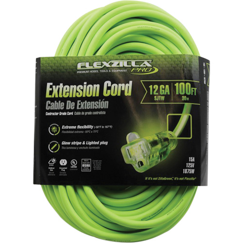 Cordon rallonge industriel Flexzilla Pro, Toutes saisons, SJTW, AWG 12/3, 15 A, 100' Distribution Élite MP