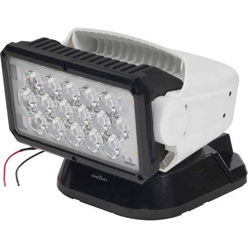 Projecteur orientable polyvalent &agrave; t&eacute;l&eacute;commande, DEL, 4250 lumens Distribution Élite MP