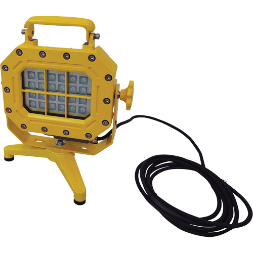 Diffuseur anti-d&eacute;flagration avec support, DEL, 40 W, 5600 lumens, Boîtier en Aluminium Distribution Élite MP