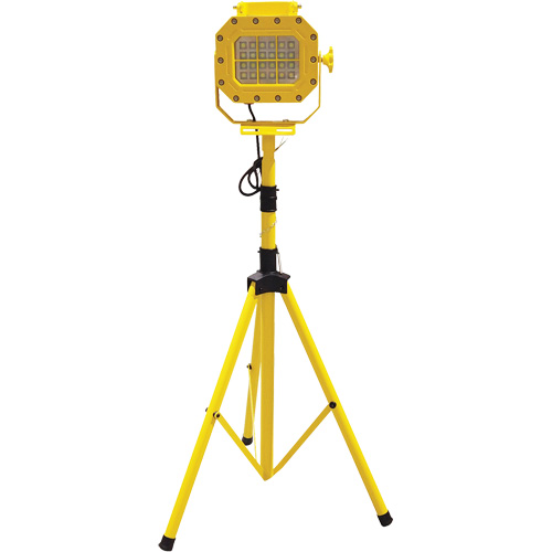 Diffuseur anti-d&eacute;flagration avec tr&eacute;pied, DEL, 40 W, 5600 lumens, Boîtier en Aluminium Distribution Élite MP