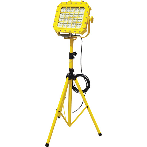Explosion Proof Floodlight with Tripod, LED, 40 W, 5600 Lumens, Aluminum Housing Distribution Élite MP