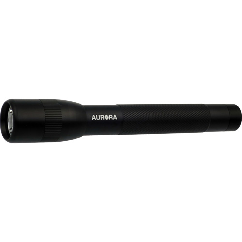 Lampe de poche IPX4, 100 lumens, Piles AA Distribution Élite MP