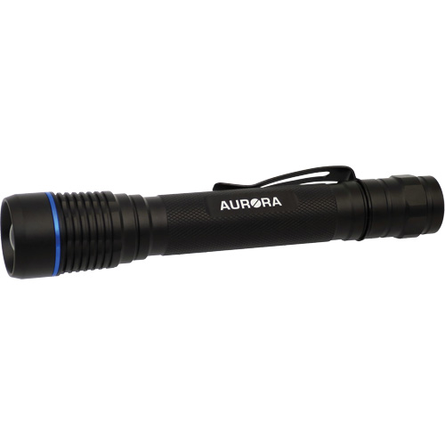 Lampe de poche IPX7, DEL, 250 lumens, Piles AA Distribution Élite MP