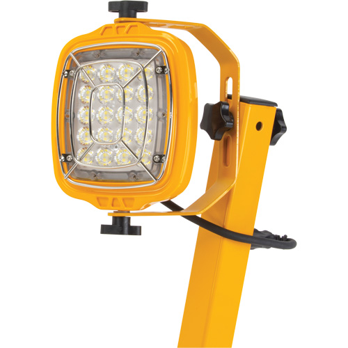 Dock Light, 40" Arm, 50 W, LED Lamp, Metal Distribution Élite MP