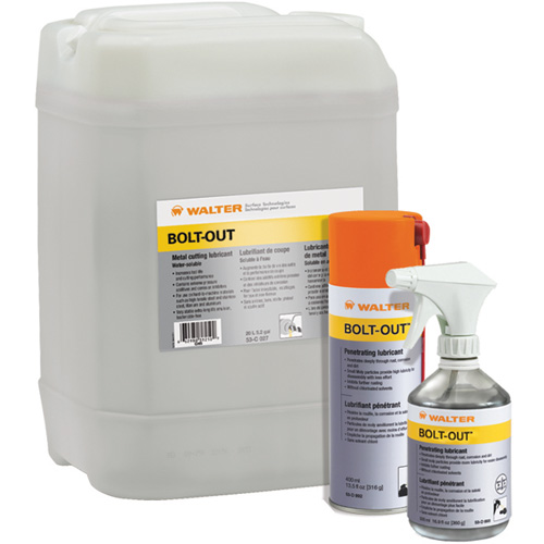 Lubrifiant d&eacute;grippant Bolt-Out, Canette a&eacute;rosol Distribution Élite MP