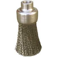 Brosses plates, rondes ou Roto Distribution Élite MP