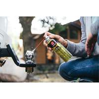 Gel lubrifiant pour remorque 3-in-One, Canette a&eacute;rosol Distribution Élite MP