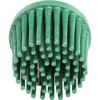 Disques bristle Roloc, Grain 120, 1" dia. Distribution Élite MP
