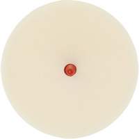 Disque pour enlever les bandes et les adh&eacute;sifs pour moulures Scotch-Brite, 4" dia. Distribution Élite MP