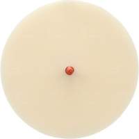 Disque Scotch-Brite 7502 pour retrait de colle et de bandes de moulage, 6" dia. Distribution Élite MP