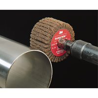 Scotch-Brite Flap Brushes Distribution Élite MP
