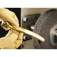 Scotch-Brite Multi-Finishing Wheels, 8" x 1", 3" Arbor Distribution Élite MP