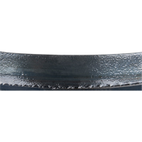 Metal Cutting Bandsaw Blade, Metal, 93" L x 3/4" W x 0.032" Thick, 14 TPI Distribution Élite MP