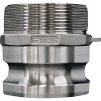 Accouplement &agrave; came et rainure, Acier inoxydable, Type F, 4", NPT m&acirc;le, 100 psi Distribution Élite MP