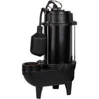 Pompe d'effluent en fonte, 4800 gal./h, 120 V, 7,8 A, 1/2 CV Distribution Élite MP